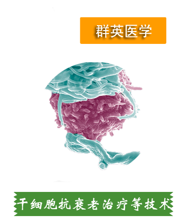 干細(xì)胞抗衰老、肝細(xì)胞治療等技術(shù)