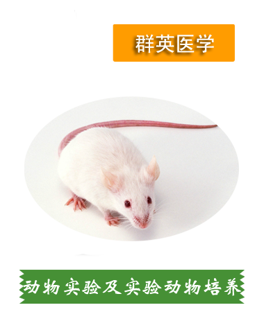 動物實(shí)驗(yàn) 實(shí)驗(yàn)動物培養(yǎng)