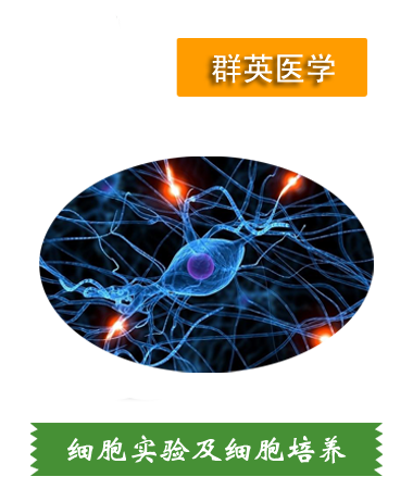 細(xì)胞實(shí)驗(yàn)、細(xì)胞培養(yǎng)