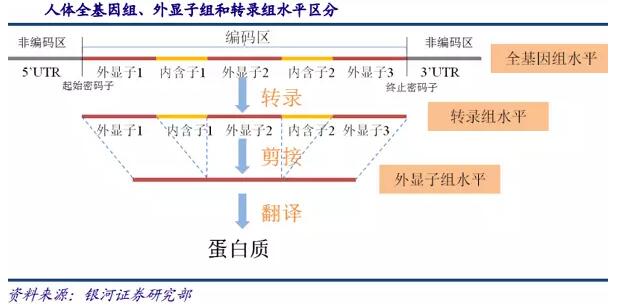 基因測序發(fā)展新態(tài)勢：在上游發(fā)展三四代技術(shù)，在下游完成樣本積累