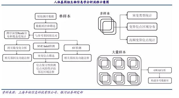 基因測序發(fā)展新態(tài)勢：在上游發(fā)展三四代技術(shù)，在下游完成樣本積累